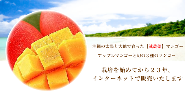 jクエリエリア